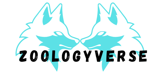 Zoologyverse