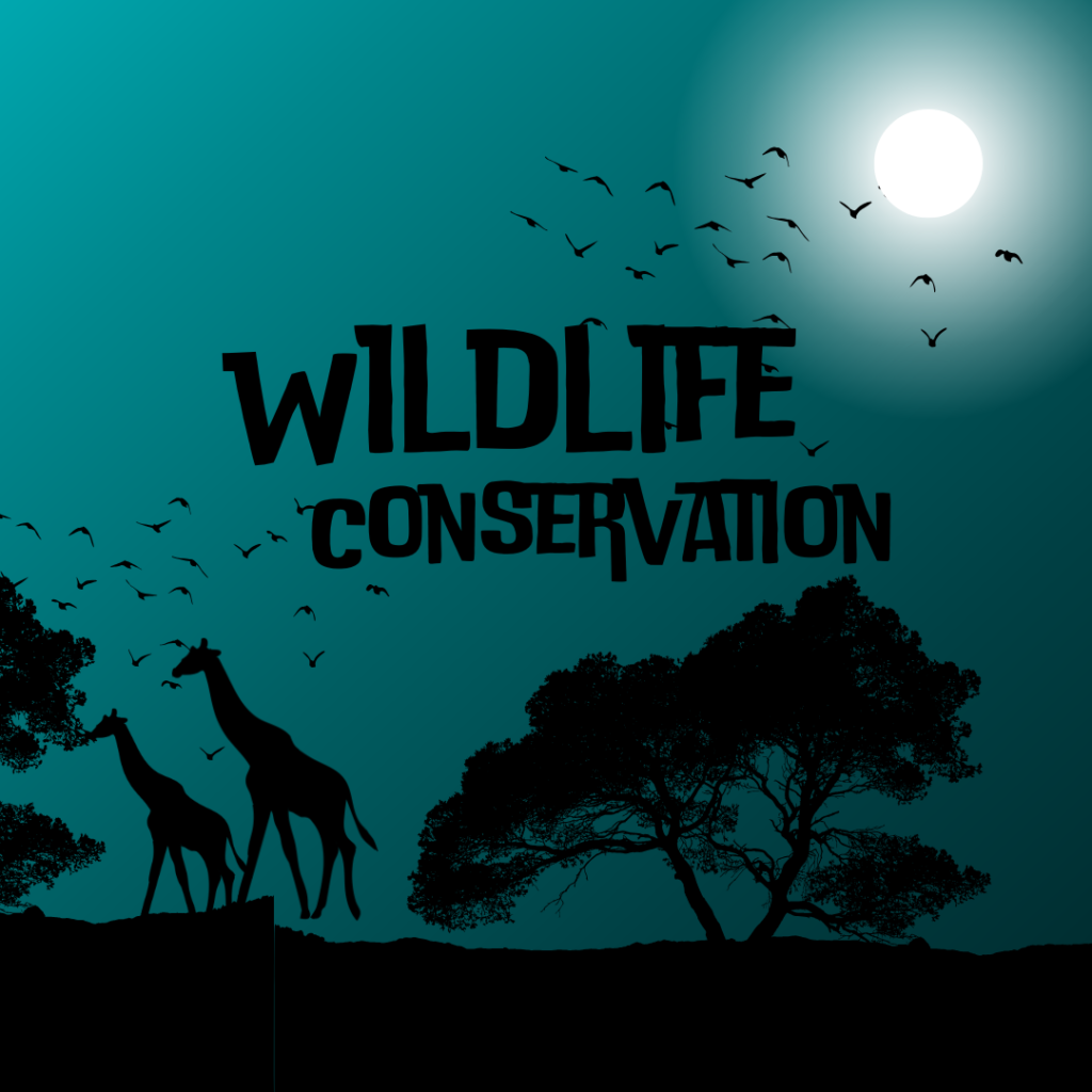 Wildlife Conservation Importance Threats Conservation Zoologyverse Wildlife Conservation Importance Threats Conservation Zoologyverse
