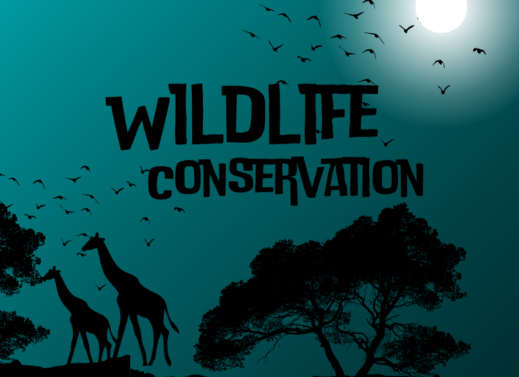 Wildlife Conservation : Importance | Threats | Conservation Success Stories